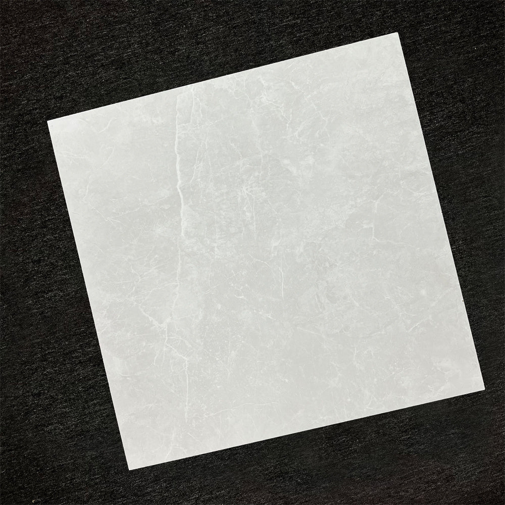 Apex Silver 600x600 Matt