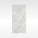 Everest Grey 300x600 In&Out Solution