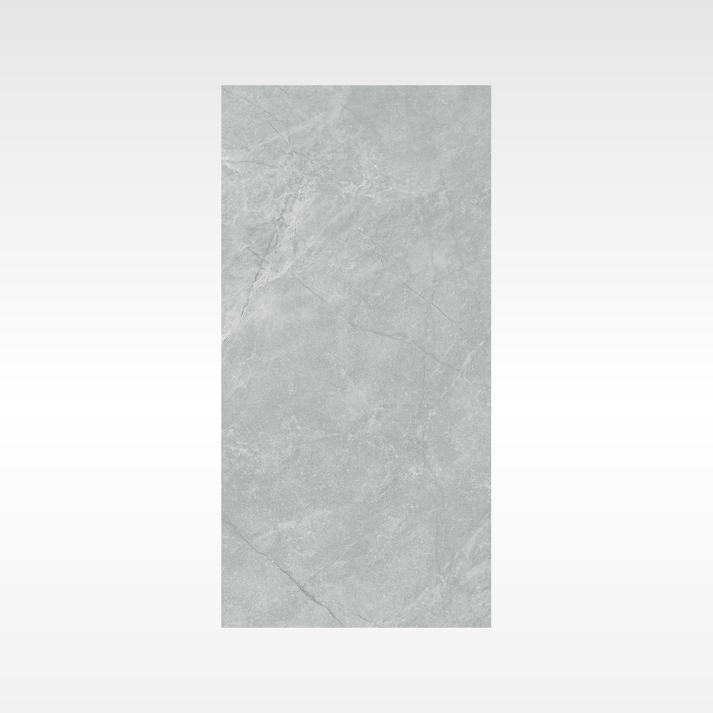 Origin Grey 300x600 Matt