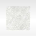 Everest Silver 600x600 In&Out Solution