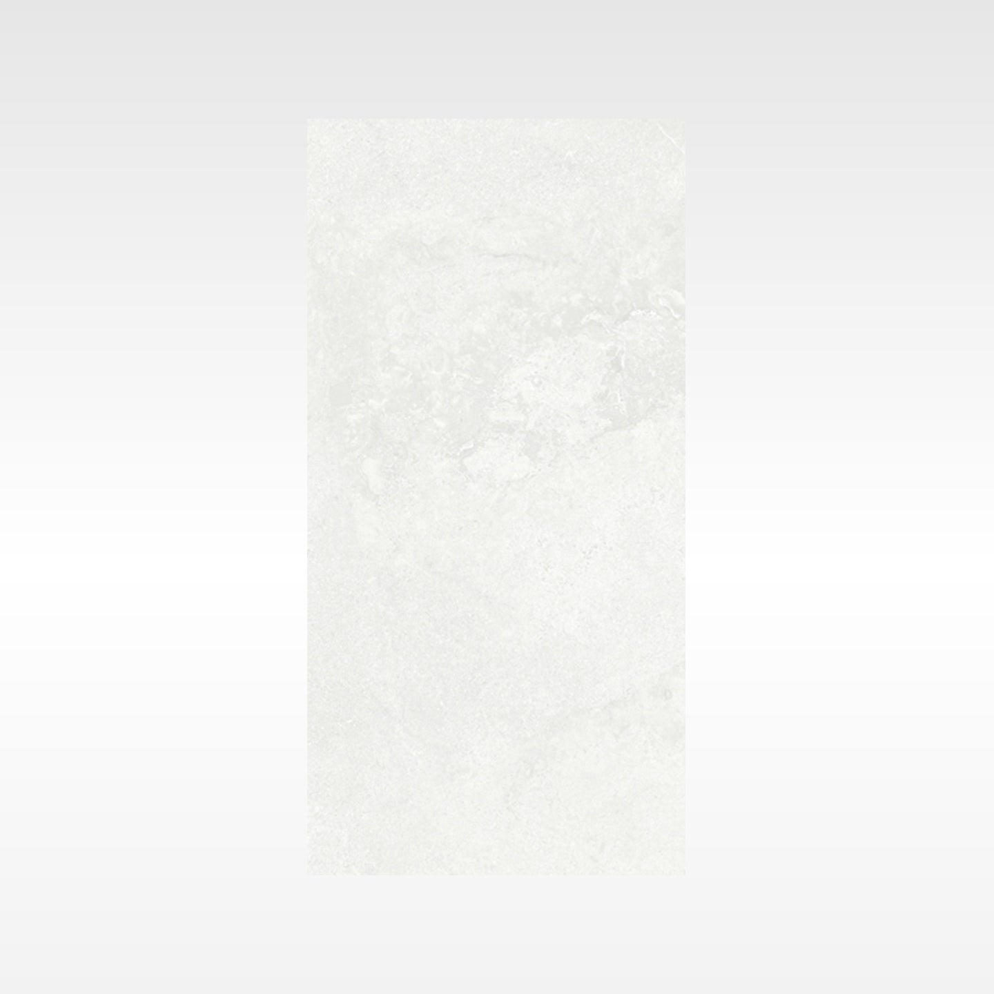 Elegance Silver 300x600 In&Out Solution
