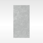 Origin Grey 300x600 Polish