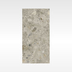 Luxstone Natural 300x600 In&Out Solution
