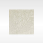 Alps Silver 600x600 In&Out Solution