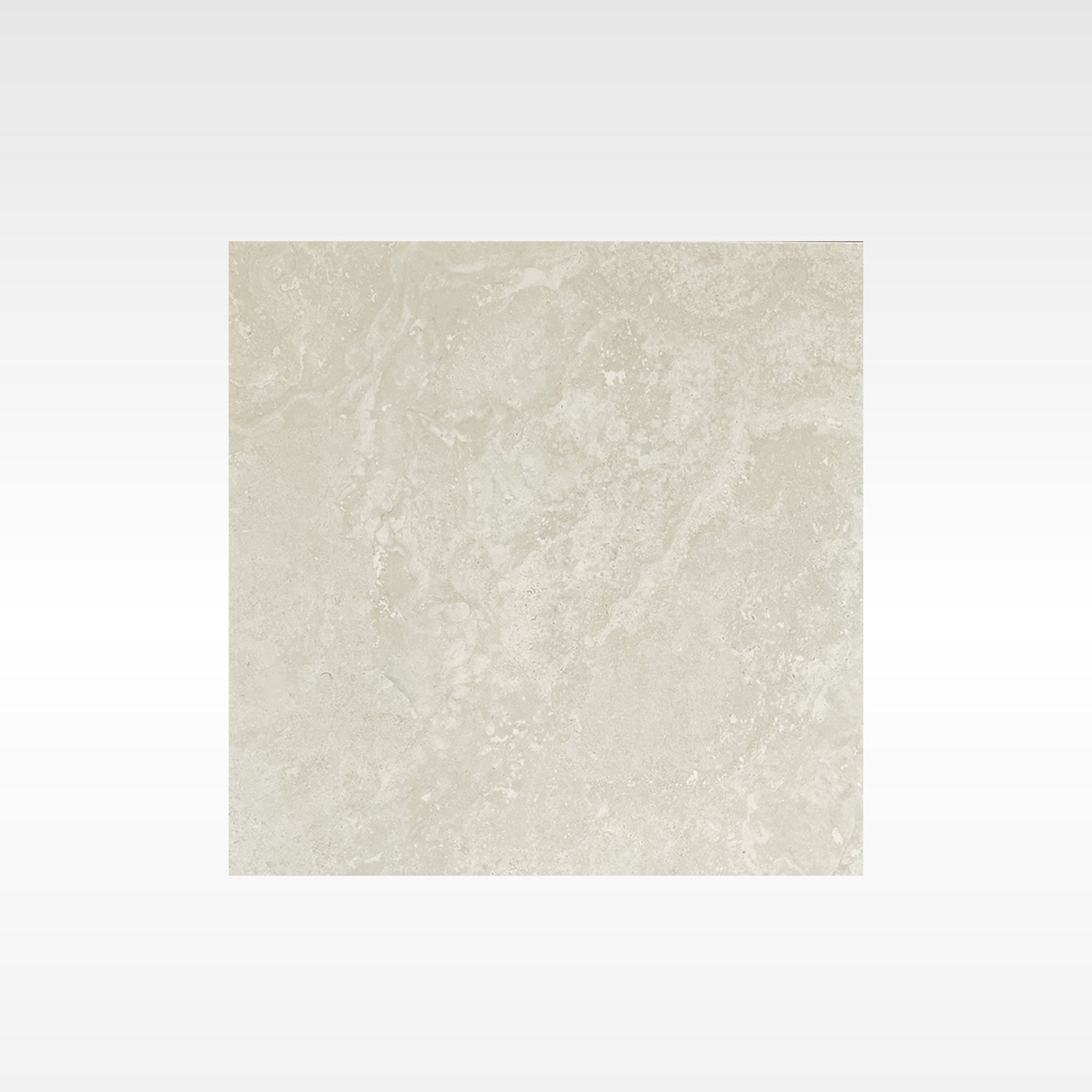 Alps Silver 600x600 In&Out Solution