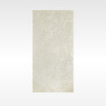 Alps Silver 300x600 In&Out Solution