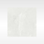 Vienna Ivory 600x600 Matt