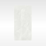 Vienna Ivory 600x1200 Matt