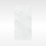 Ionic Silver 600x1200 Polish