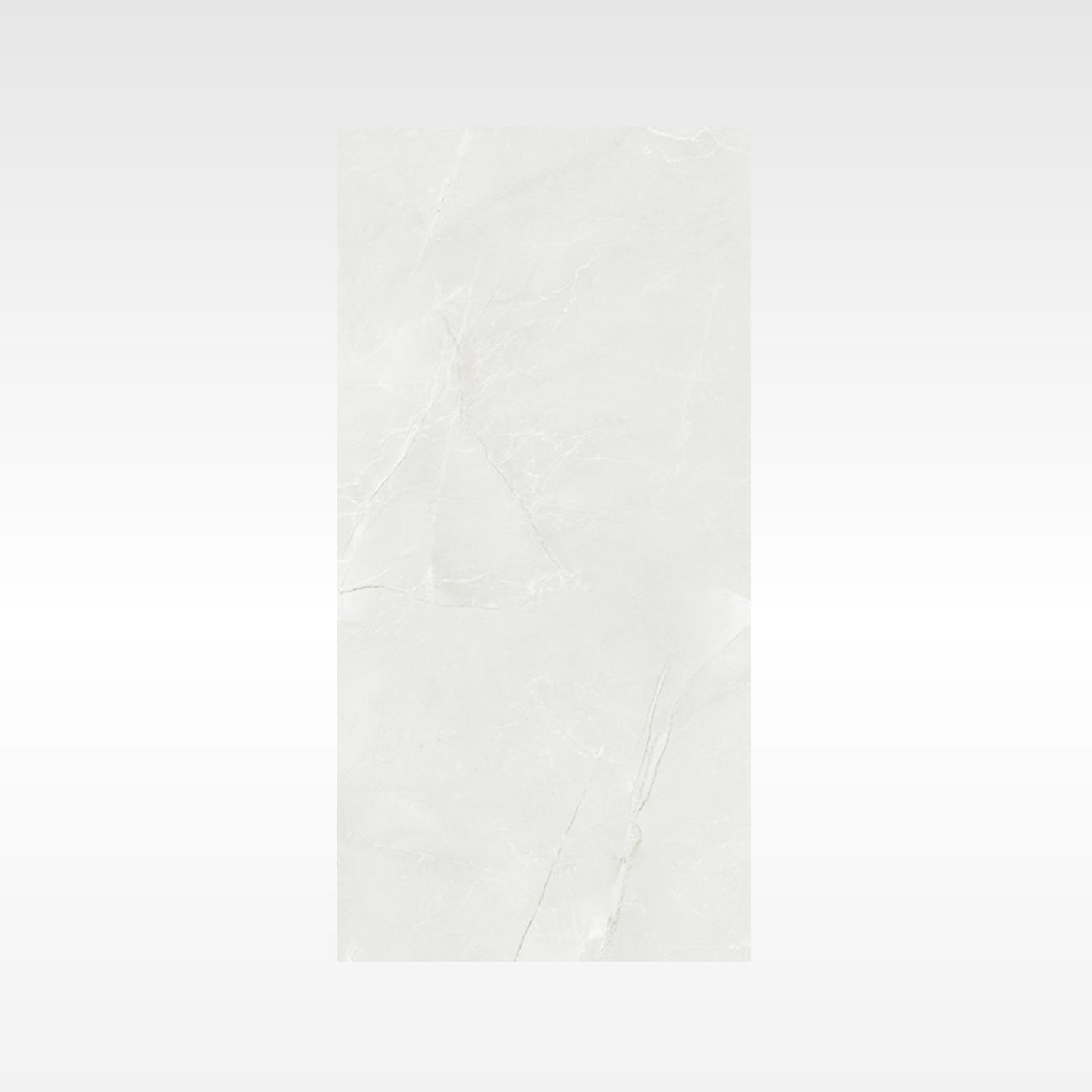 Vienna Ivory 300x600 Matt