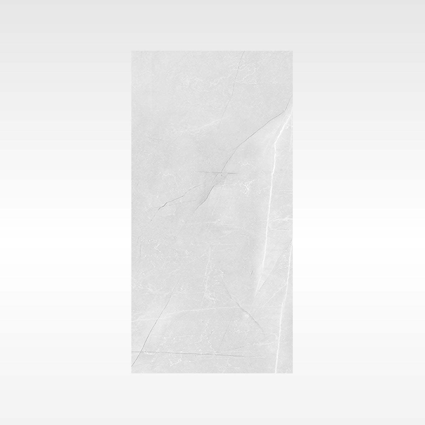 Vienna Grey 300x600 Polish