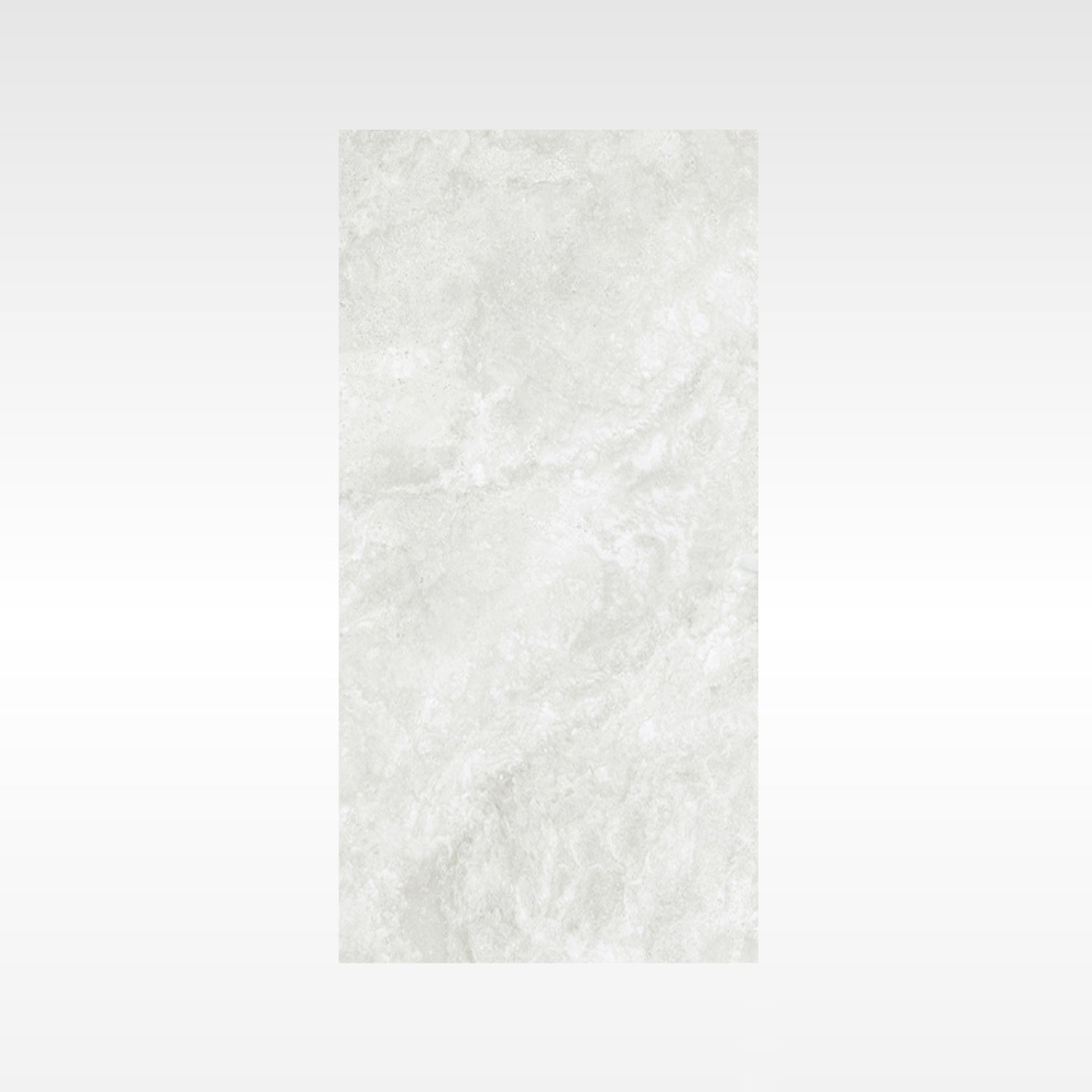 Everest Silver 300x600 In&Out Solution