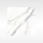 Calacatta Gold 600x600 Polish
