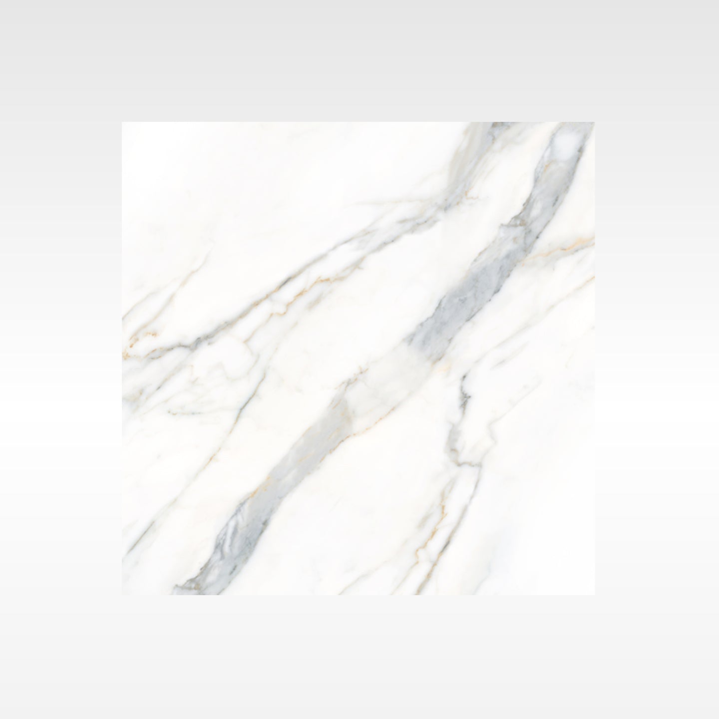 Calacatta Gold 600x600 Polish