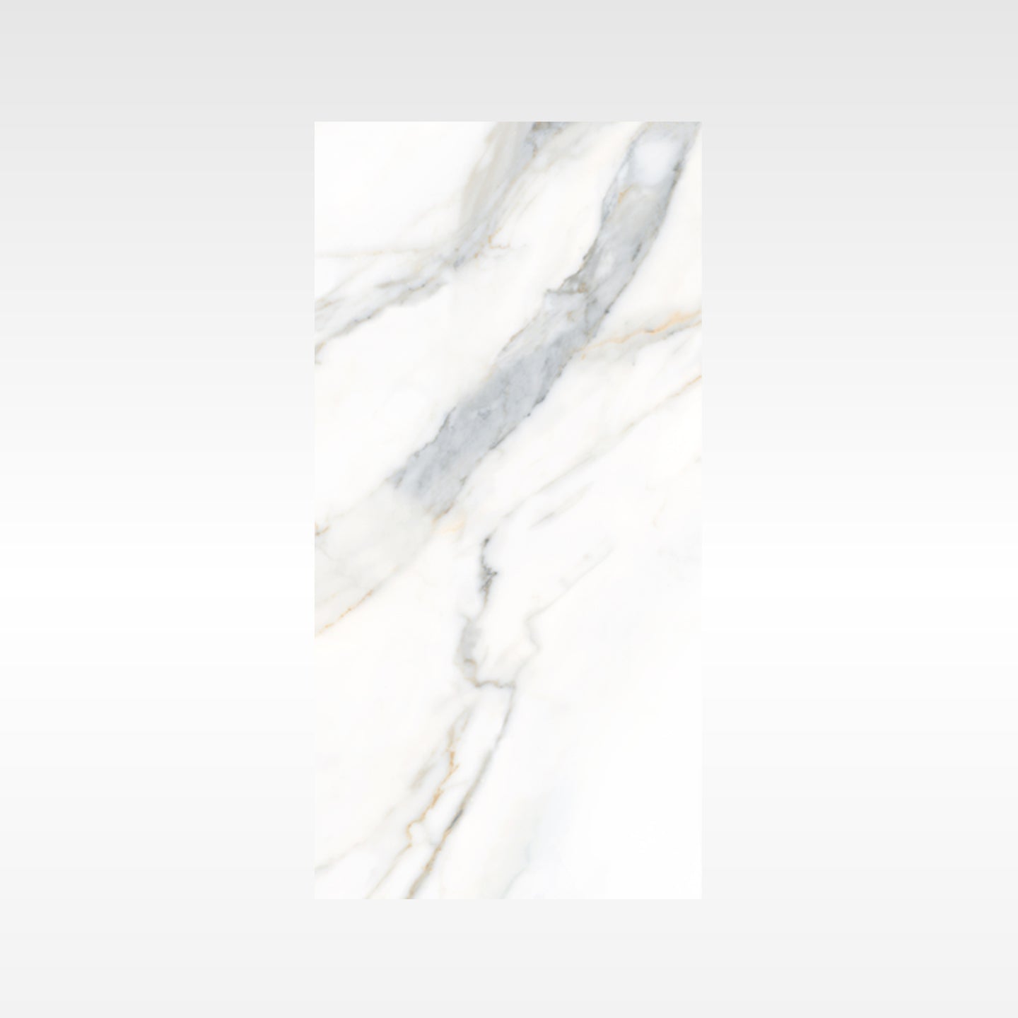 Calacatta Gold 300x600 Soft Matt