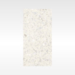 Terrazzo Cream 300x600 Matt
