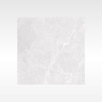 Apex Silver 600x600 Matt