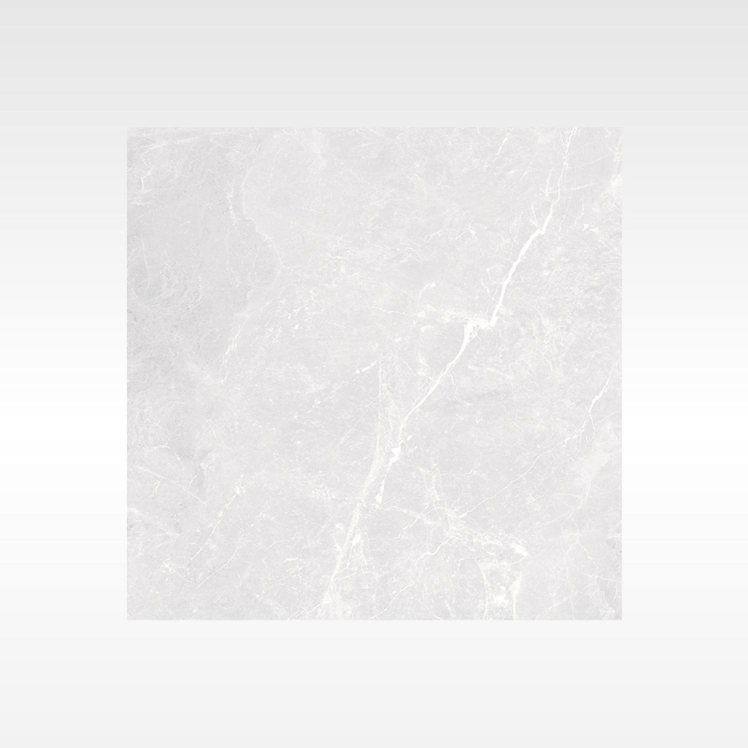 Apex Silver 600x600 Matt