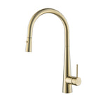 Arraso Pullout Gooseneck Sink Mixer Brushed Brass
