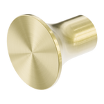 Zen SS316L Robe Hook Brushed Gold (NR1682BG)