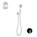 OPAL SHOWER ON BRACKET WITH AIR SHOWER BRUSHED NICKEL (NR251905BN)