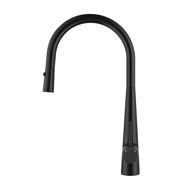 Arraso Pullout Gooseneck Sink Mixer Matte Black