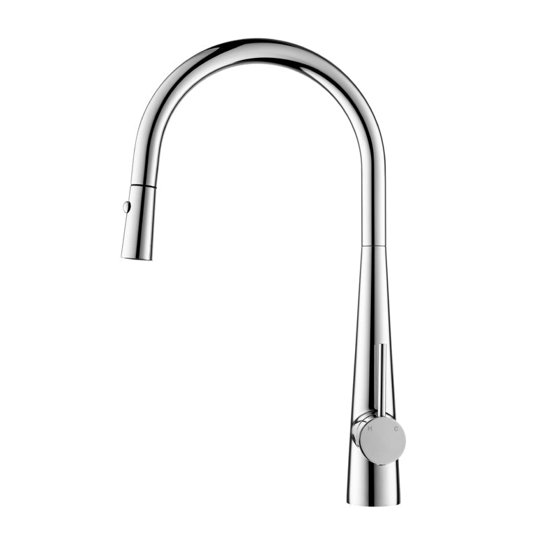 Arraso Pullout Gooseneck Sink Mixer Chrome