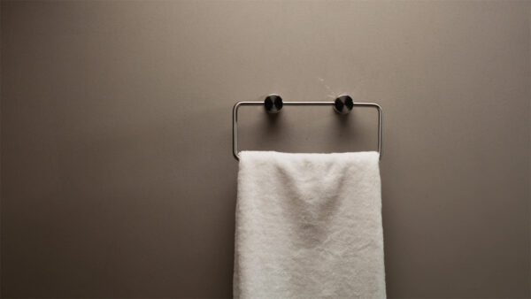 Zen SS316L Hand Towel Ring Brushed Nickel (NR1680BN)