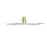 250mm Round Stainless Steel Shower Head 4 Star Rating Brushed Gold (NR507036BG)