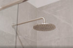 250MM ABS ROUND SHOWER HEAD BRUSHED NICKEL (NR508088BN)