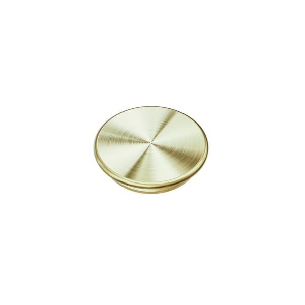 MECCA CARE 32MM GRAB RAIL CAP BRUSHED GOLD (NRCR0004BG)