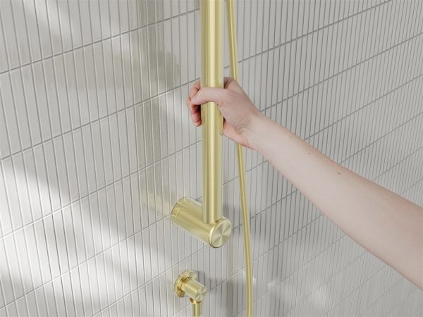 MECCA CARE 32MM GRAB RAIL AND ADJUSTABLE SHOWER RAIL SET 900MM BRUSHED GOLD (NRCS005BG)