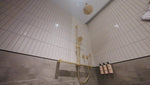 MECCA CARE 32MM T BAR GRAB RAIL AND ADJUSTABLE SHOWER SET 1100X750MM BRUSHED GOLD (NRCS006BG)