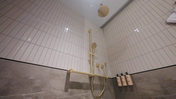 MECCA CARE 32MM T BAR GRAB RAIL AND ADJUSTABLE SHOWER SET 1100X750MM BRUSHED GOLD (NRCS006BG)