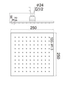 250MM SQUARE SHOWER HEAD BRUSHED GOLD (NRROB1003BG)