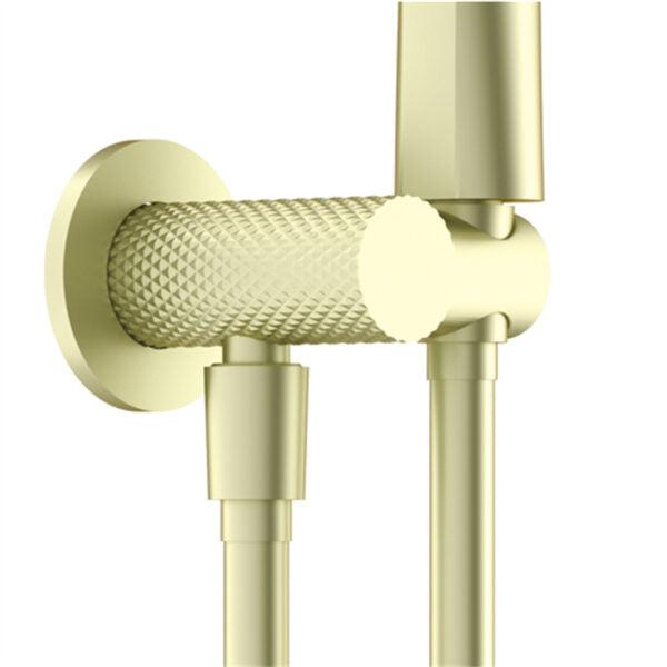 OPAL SHOWER ON BRACKET WITH AIR SHOWER BRUSHED GOLD (NR251905BG)